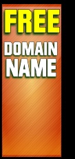 Domain Name